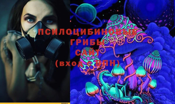 соль ск Аркадак