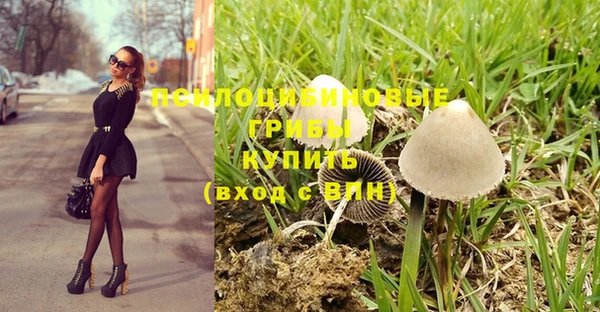 СК Арсеньев