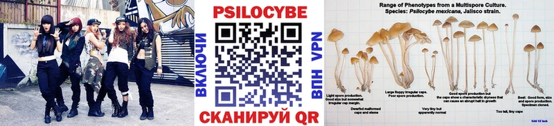купить закладку  Старица  Галлюциногенные грибы ЛСД 